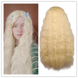 Long Curly Multi Colored Synthetic Wig