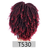 Afro Kinky Multi Color Medium Synthetic Dreadlock Wig 6 Inches (31)