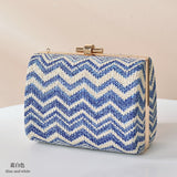 Luxury Designer Handbag Summer Small Fresh Woven Straw Bag 21