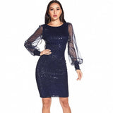 Sexy vintage Glitter Long sleeve Sequin bodycon dress 57