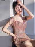 Formal Cocktail Tassels Side Split, Floor Length Shinning Sequined Dress 61